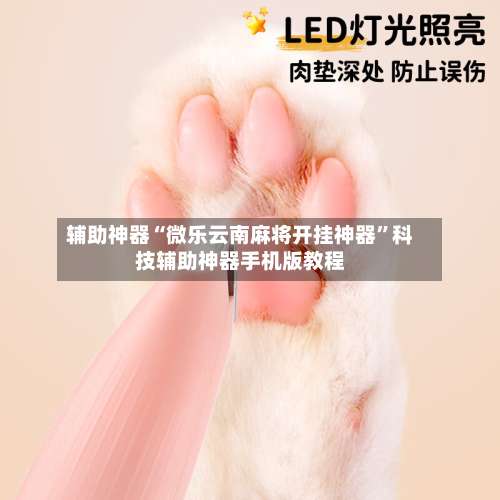 辅助神器“微乐云南麻将开挂神器	”科技辅助神器手机版教程-第2张图片