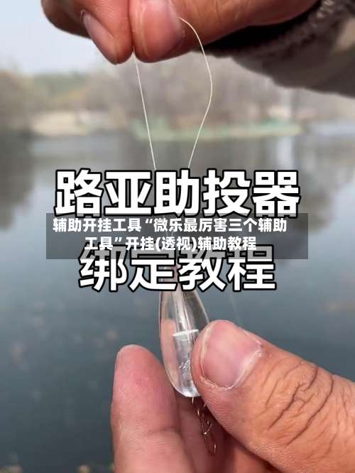 辅助开挂工具“微乐最厉害三个辅助工具	”开挂(透视)辅助教程-第1张图片