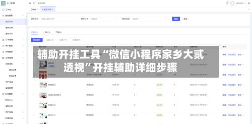 辅助开挂工具“微信小程序家乡大贰透视”开挂辅助详细步骤-第1张图片