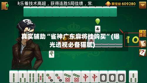 真实辅助“雀神广东麻将挂购买	”(曝光透视必备猫腻)-第1张图片