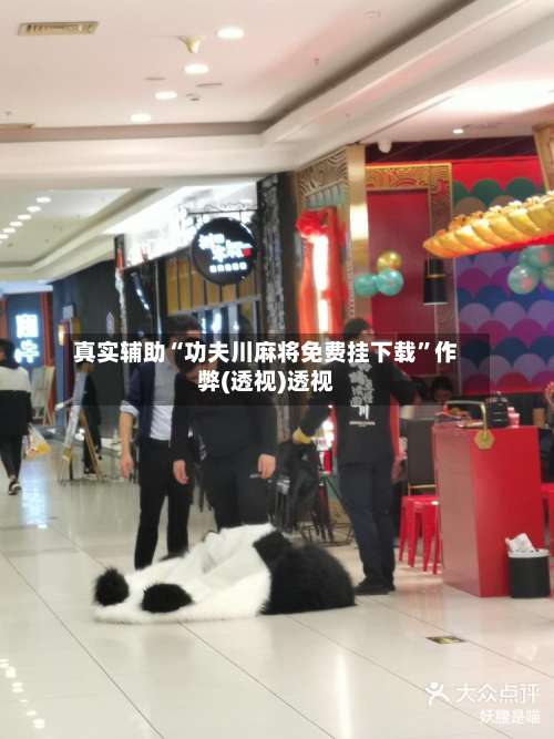 真实辅助“功夫川麻将免费挂下载”作弊(透视)透视-第2张图片