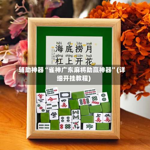 辅助神器“雀神广东麻将助赢神器”(详细开挂教程)-第2张图片