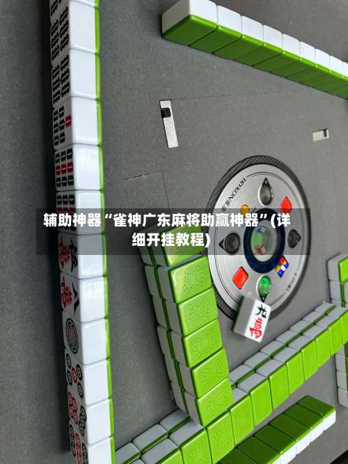 辅助神器“雀神广东麻将助赢神器	”(详细开挂教程)-第1张图片