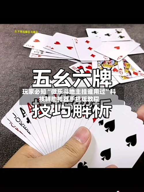 玩家必知“微乐斗地主挂谁用过”科技辅助神器手机版教程-第2张图片