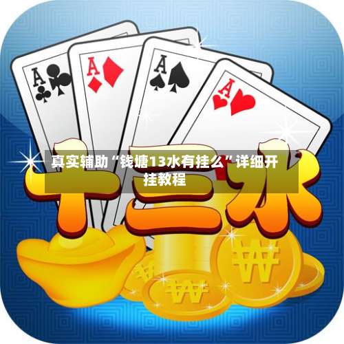 真实辅助“钱塘13水有挂么”详细开挂教程-第3张图片
