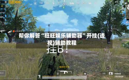 帮你解答“旺旺娱乐辅助器”开挂(透视)辅助教程-第1张图片