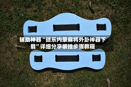 辅助神器“微乐内蒙麻将外卦神器下载	”详细分享装挂步骤教程-第1张图片