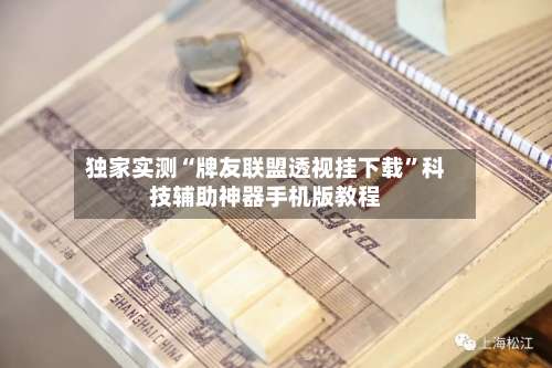 独家实测“牌友联盟透视挂下载”科技辅助神器手机版教程-第1张图片