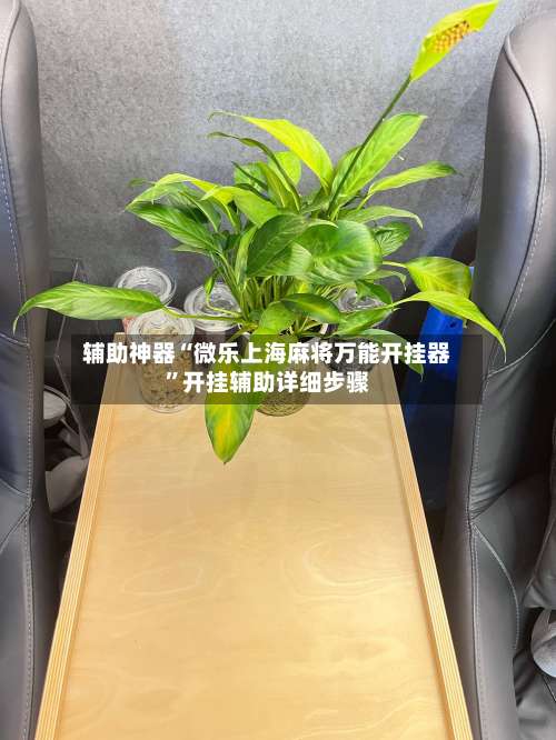 辅助神器“微乐上海麻将万能开挂器	”开挂辅助详细步骤-第1张图片