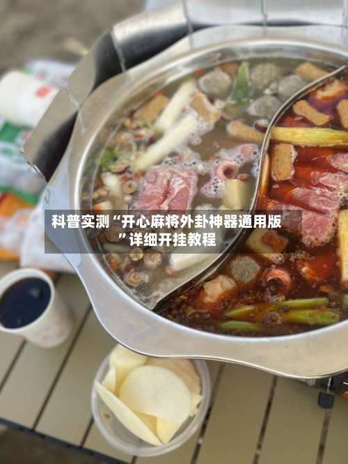 科普实测“开心麻将外卦神器通用版”详细开挂教程-第3张图片