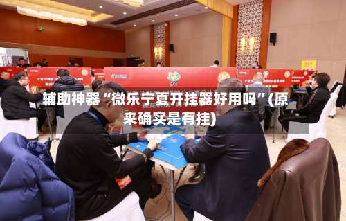 辅助神器“微乐宁夏开挂器好用吗”(原来确实是有挂)-第2张图片