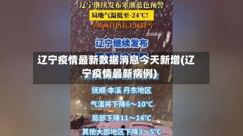 辽宁疫情最新数据消息今天新增(辽宁疫情最新病例)-第3张图片