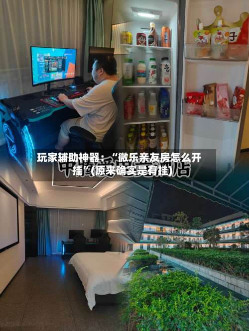 玩家辅助神器：“微乐亲友房怎么开挂”(原来确实是有挂)-第1张图片