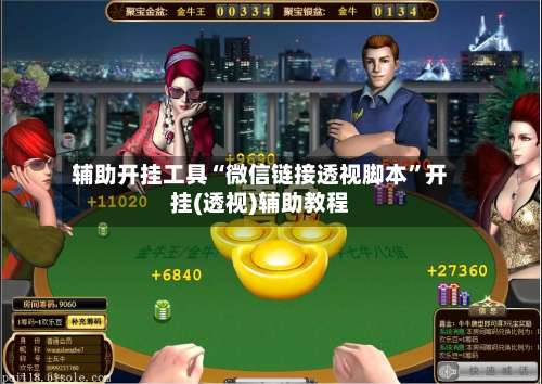 辅助开挂工具“微信链接透视脚本”开挂(透视)辅助教程-第3张图片