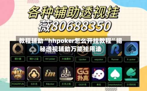 教程辅助“hhpoker怎么开挂教程”揭秘透视辅助万能挂用法-第3张图片