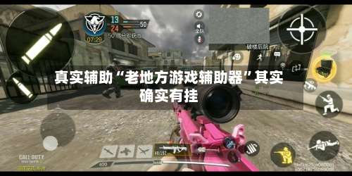 真实辅助“老地方游戏辅助器”其实确实有挂-第1张图片
