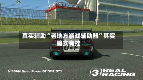 真实辅助“老地方游戏辅助器	”其实确实有挂-第2张图片