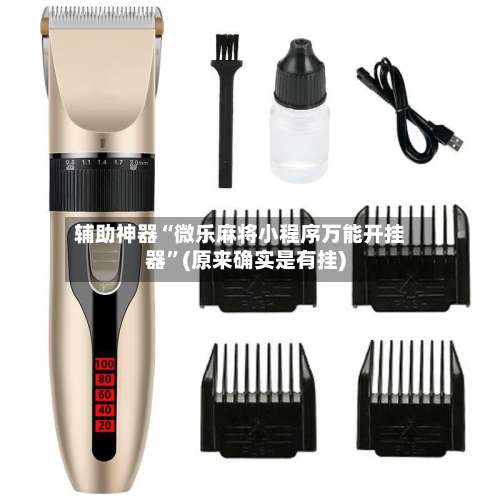 辅助神器“微乐麻将小程序万能开挂器	”(原来确实是有挂)-第1张图片