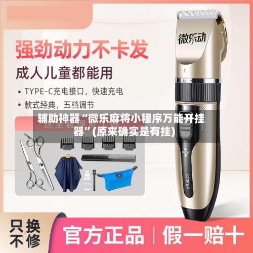 辅助神器“微乐麻将小程序万能开挂器”(原来确实是有挂)-第2张图片