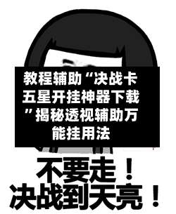 教程辅助“决战卡五星开挂神器下载”揭秘透视辅助万能挂用法-第2张图片