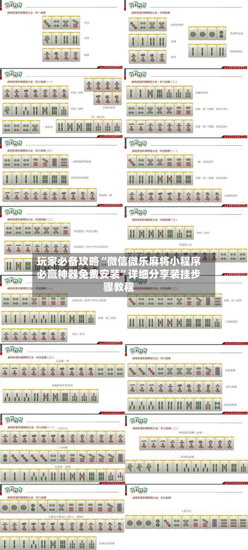 玩家必备攻略“微信微乐麻将小程序必赢神器免费安装	”详细分享装挂步骤教程-第2张图片