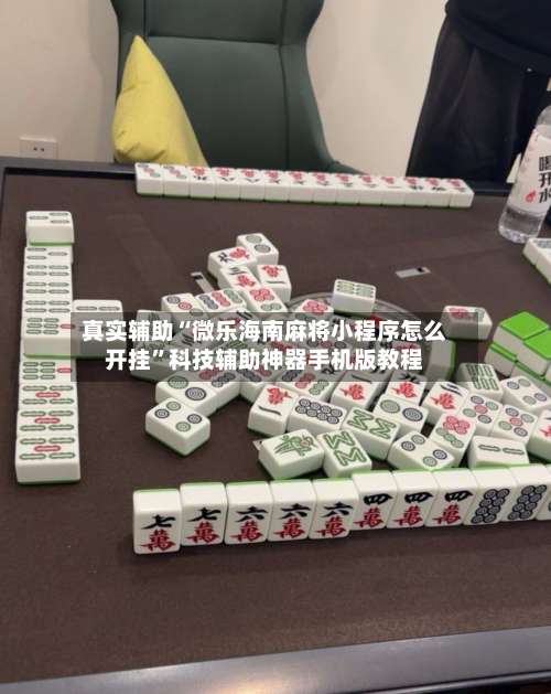 真实辅助“微乐海南麻将小程序怎么开挂	”科技辅助神器手机版教程-第1张图片