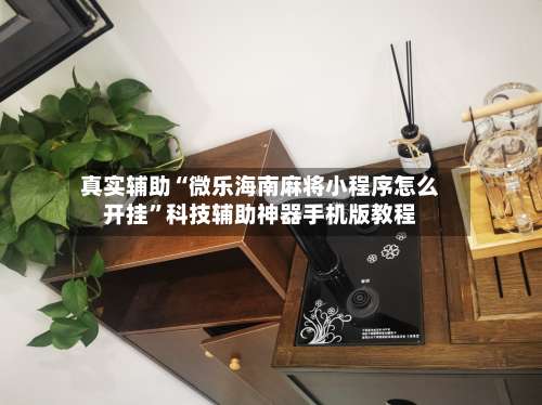 真实辅助“微乐海南麻将小程序怎么开挂”科技辅助神器手机版教程-第2张图片