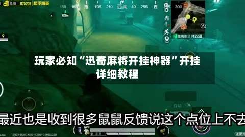 玩家必知“迅奇麻将开挂神器”开挂详细教程-第2张图片