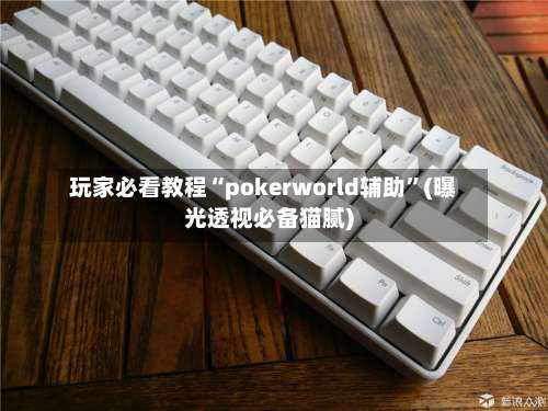 玩家必看教程“pokerworld辅助”(曝光透视必备猫腻)-第1张图片