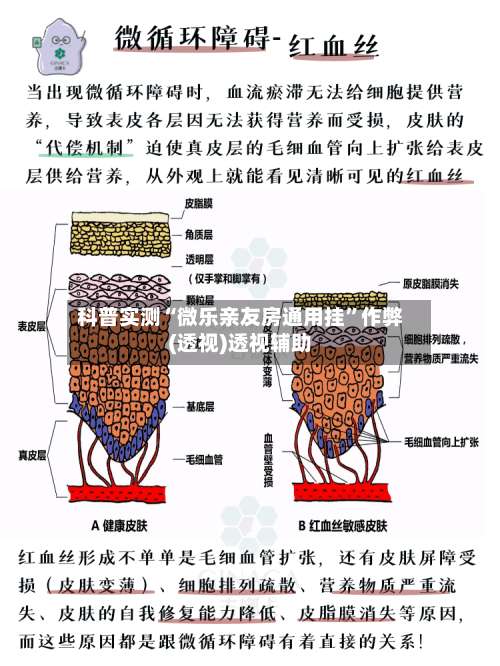科普实测“微乐亲友房通用挂”作弊(透视)透视辅助-第2张图片
