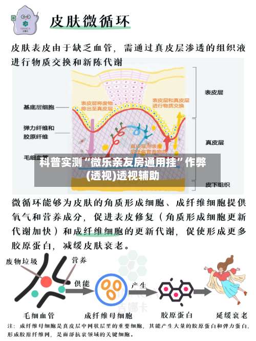 科普实测“微乐亲友房通用挂”作弊(透视)透视辅助-第3张图片