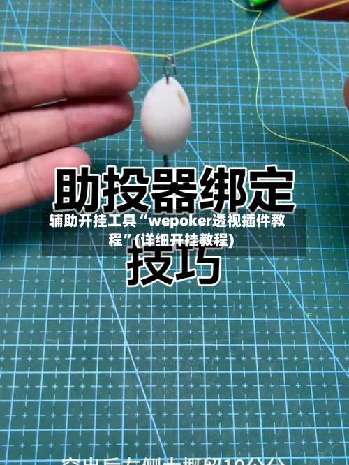 辅助开挂工具“wepoker透视插件教程”(详细开挂教程)-第3张图片