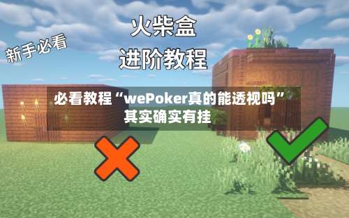 必看教程“wePoker真的能透视吗”其实确实有挂-第2张图片