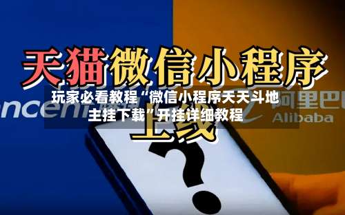 玩家必看教程“微信小程序天天斗地主挂下载”开挂详细教程-第2张图片