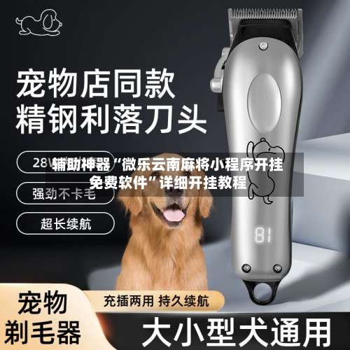 辅助神器“微乐云南麻将小程序开挂免费软件	”详细开挂教程-第1张图片