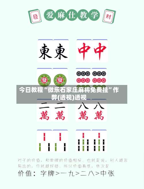 今日教程“微乐石家庄麻将免费挂”作弊(透视)透视-第1张图片