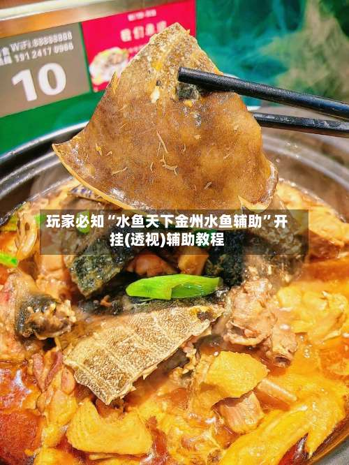 玩家必知“水鱼天下金州水鱼辅助”开挂(透视)辅助教程-第3张图片