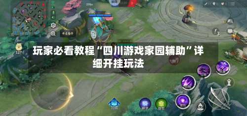 玩家必看教程“四川游戏家园辅助”详细开挂玩法-第3张图片