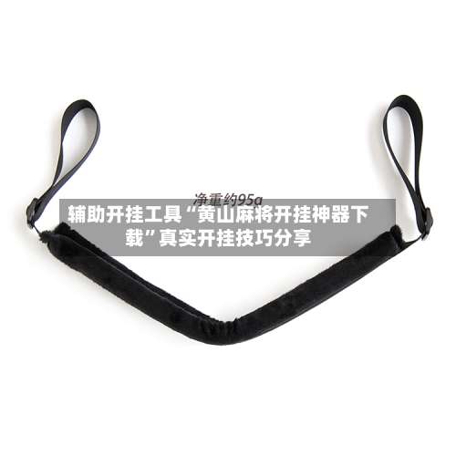 辅助开挂工具“黄山麻将开挂神器下载”真实开挂技巧分享-第1张图片