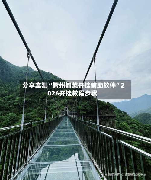 分享实测“衢州都莱开挂辅助软件”2026开挂教程步骤-第3张图片