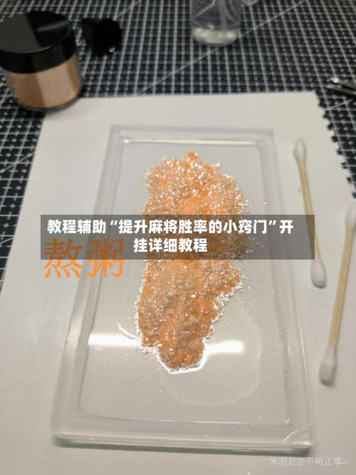 教程辅助“提升麻将胜率的小窍门”开挂详细教程-第1张图片