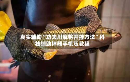 真实辅助“功夫川麻将开挂方法”科技辅助神器手机版教程-第2张图片