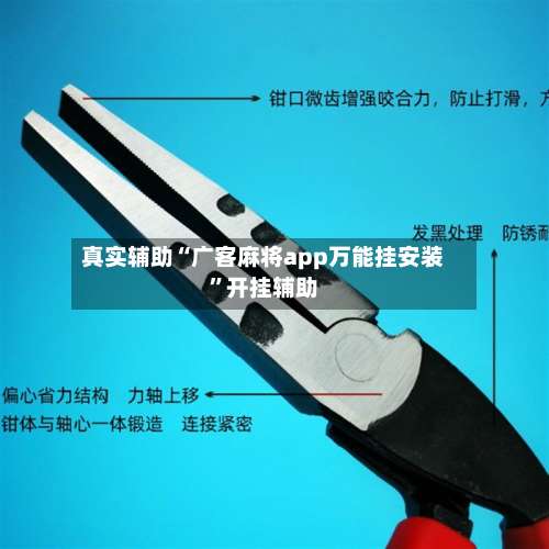 真实辅助“广客麻将app万能挂安装	”开挂辅助-第1张图片