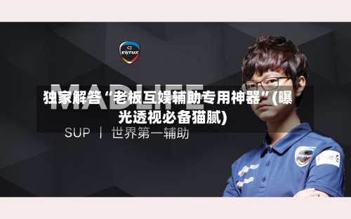 独家解答“老板互娱辅助专用神器	”(曝光透视必备猫腻)-第1张图片