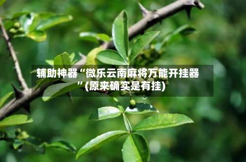 辅助神器“微乐云南麻将万能开挂器	”(原来确实是有挂)-第1张图片