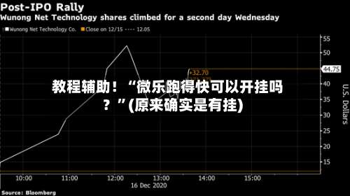 教程辅助！“微乐跑得快可以开挂吗？”(原来确实是有挂)-第2张图片