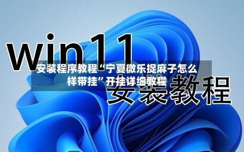 安装程序教程“宁夏微乐捉麻子怎么样带挂	”开挂详细教程-第1张图片