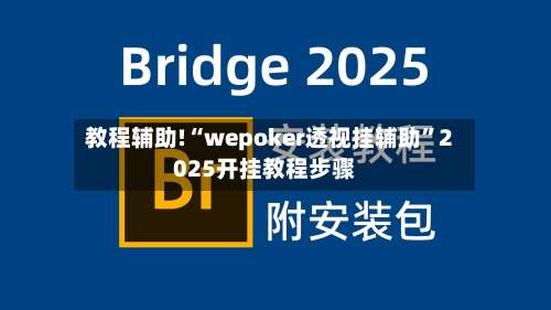 教程辅助!“wepoker透视挂辅助”2025开挂教程步骤-第1张图片