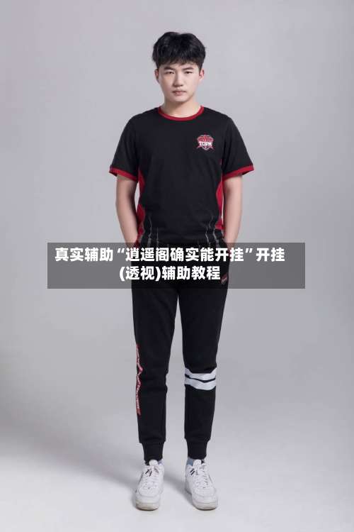 真实辅助“逍遥阁确实能开挂”开挂(透视)辅助教程-第1张图片