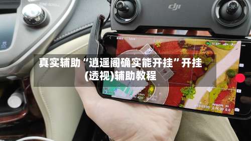 真实辅助“逍遥阁确实能开挂”开挂(透视)辅助教程-第3张图片